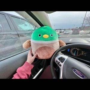 Squishmallow Avery 12” NWOT